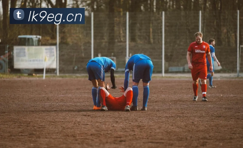 App Interface Preview