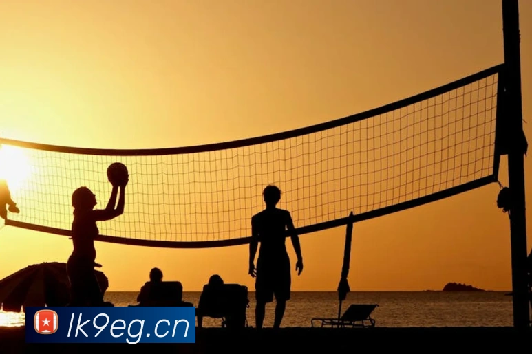 emc易倍官方旗舰店APP 封面图